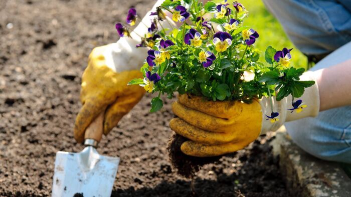 Vignette du programme télé Jardin d'exception