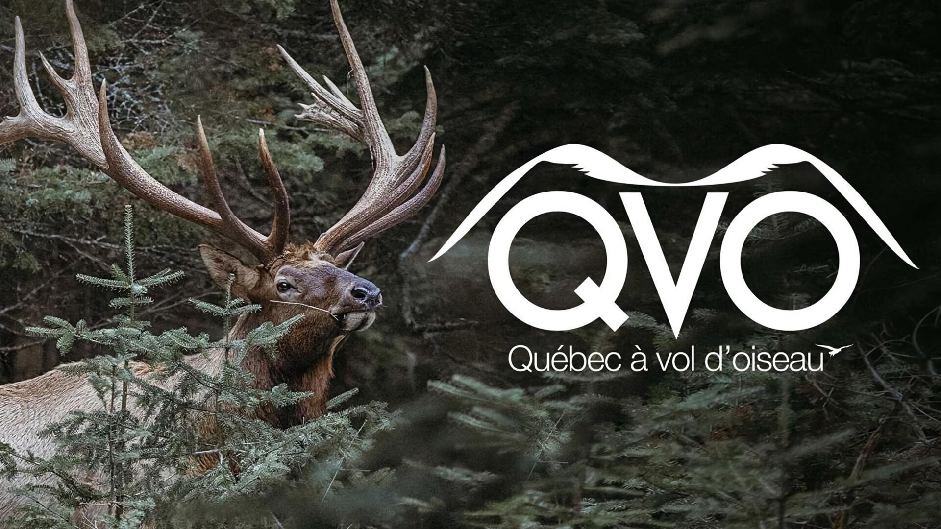 Vignette du programme télé Québec à vol d'oiseau