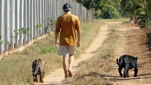 Vignette du programme télé Brésil, sur la piste des jaguars (Le Mowgli du Brésil) S1 (2/5)