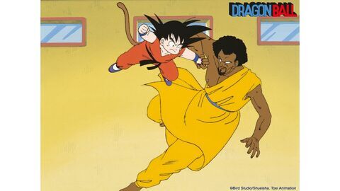 Vignette du programme télé Dragon Ball