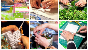 Vignette du programme télé Afrique du Sud, La vraie sauvage