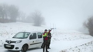 Vignette du programme télé La faune sauvage sous les radars