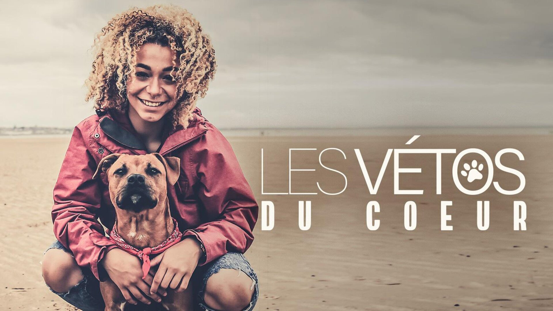 Vignette du programme télé Les vétos du coeur