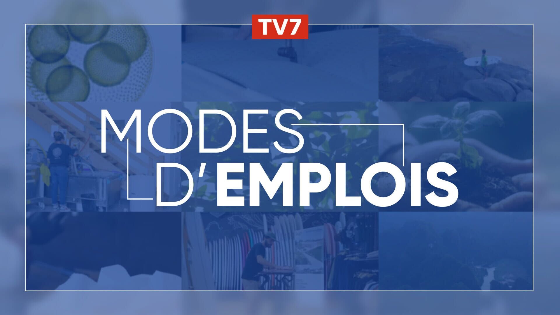 Vignette du programme télé Modes d'emplois