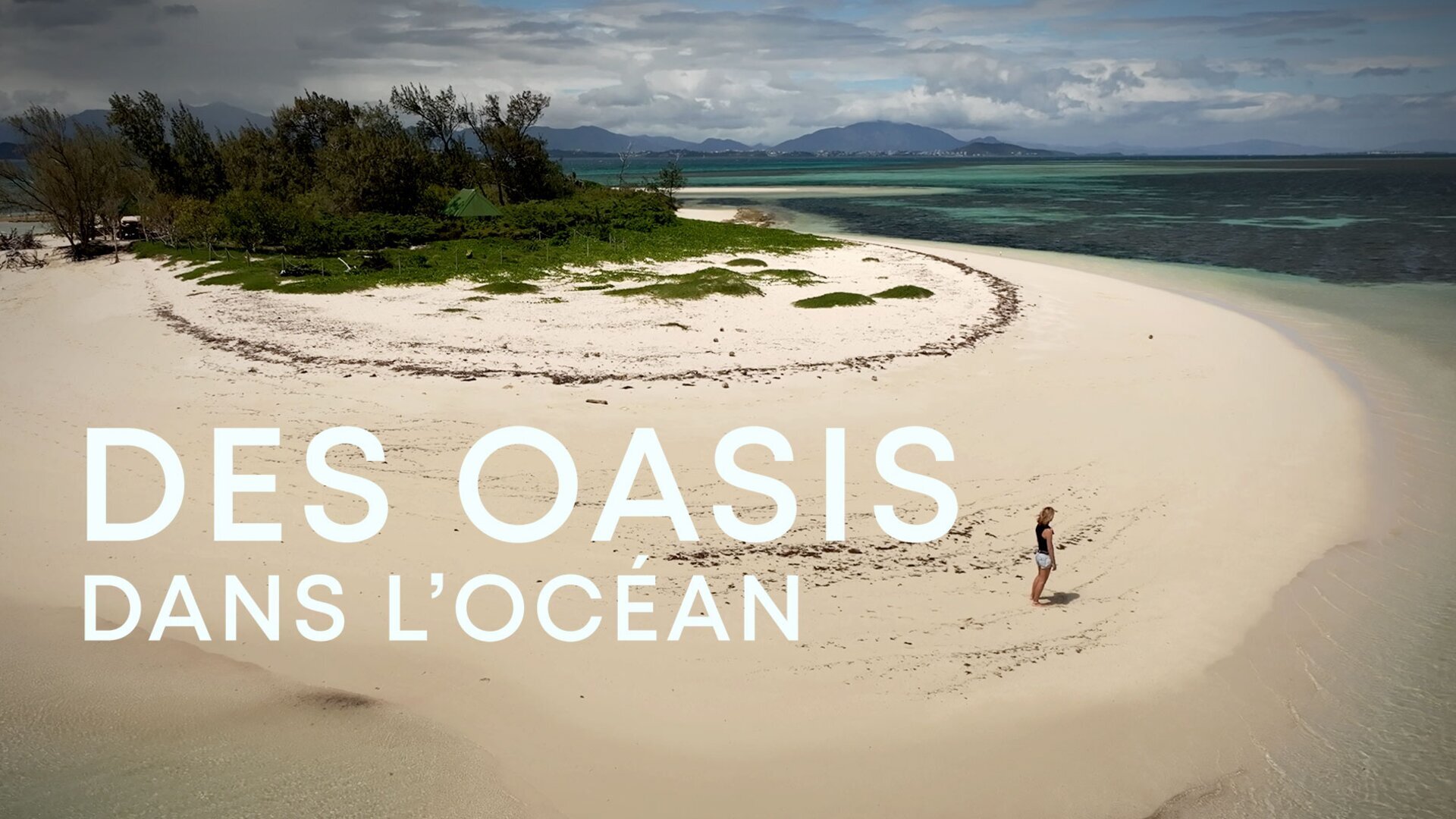 Vignette du programme télé Des oasis dans l'océan