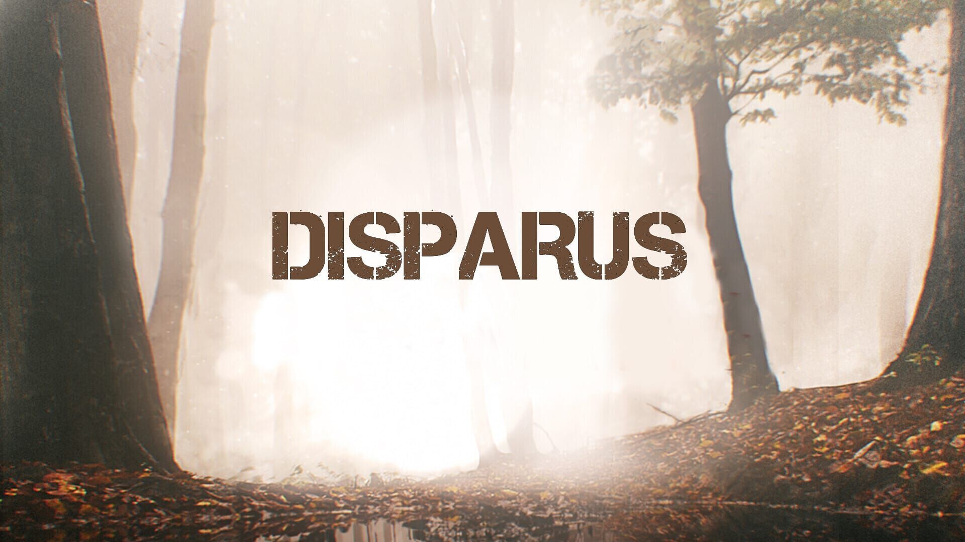 Vignette du programme télé Disparus