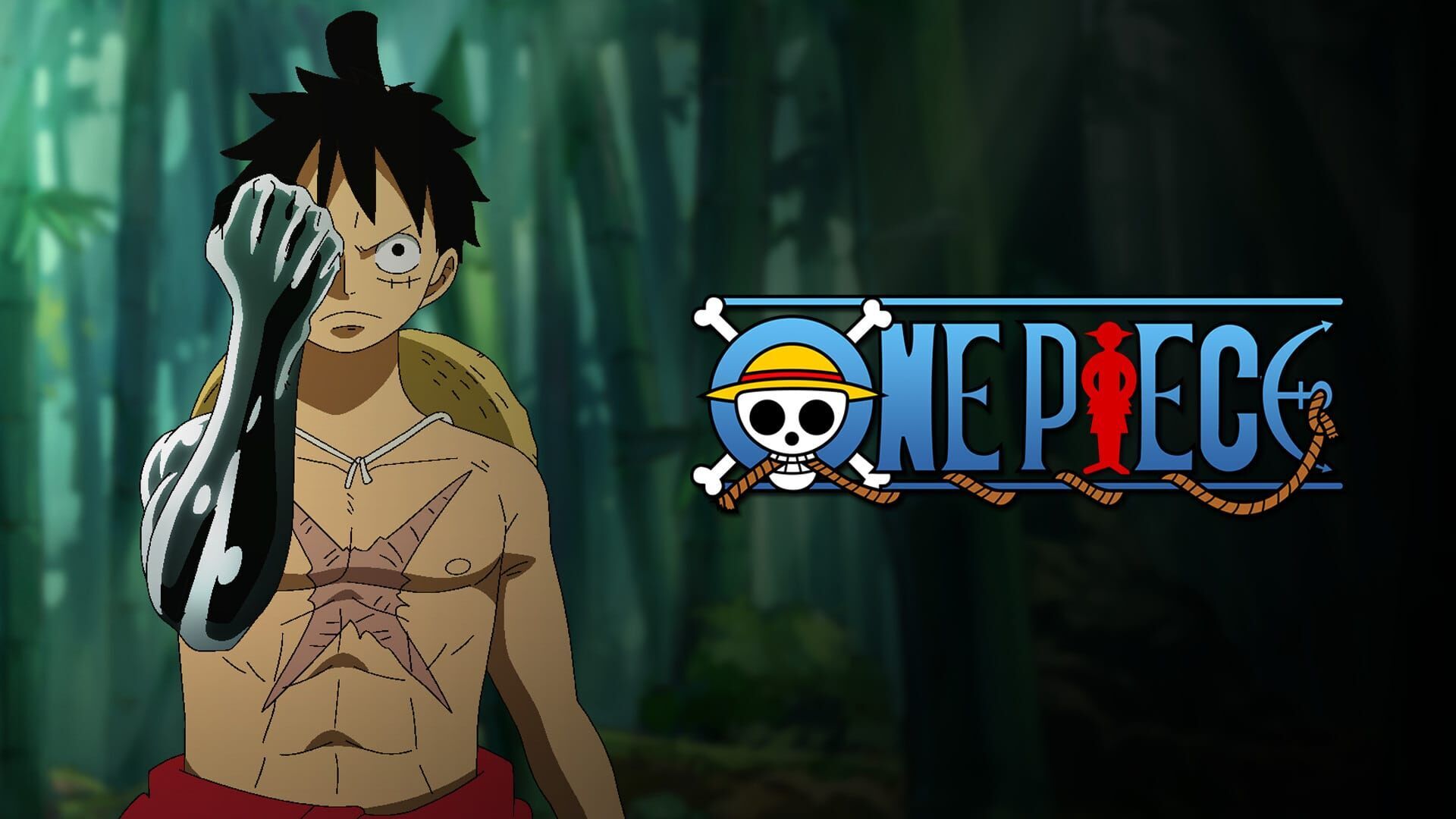 Vignette du programme télé One Piece
