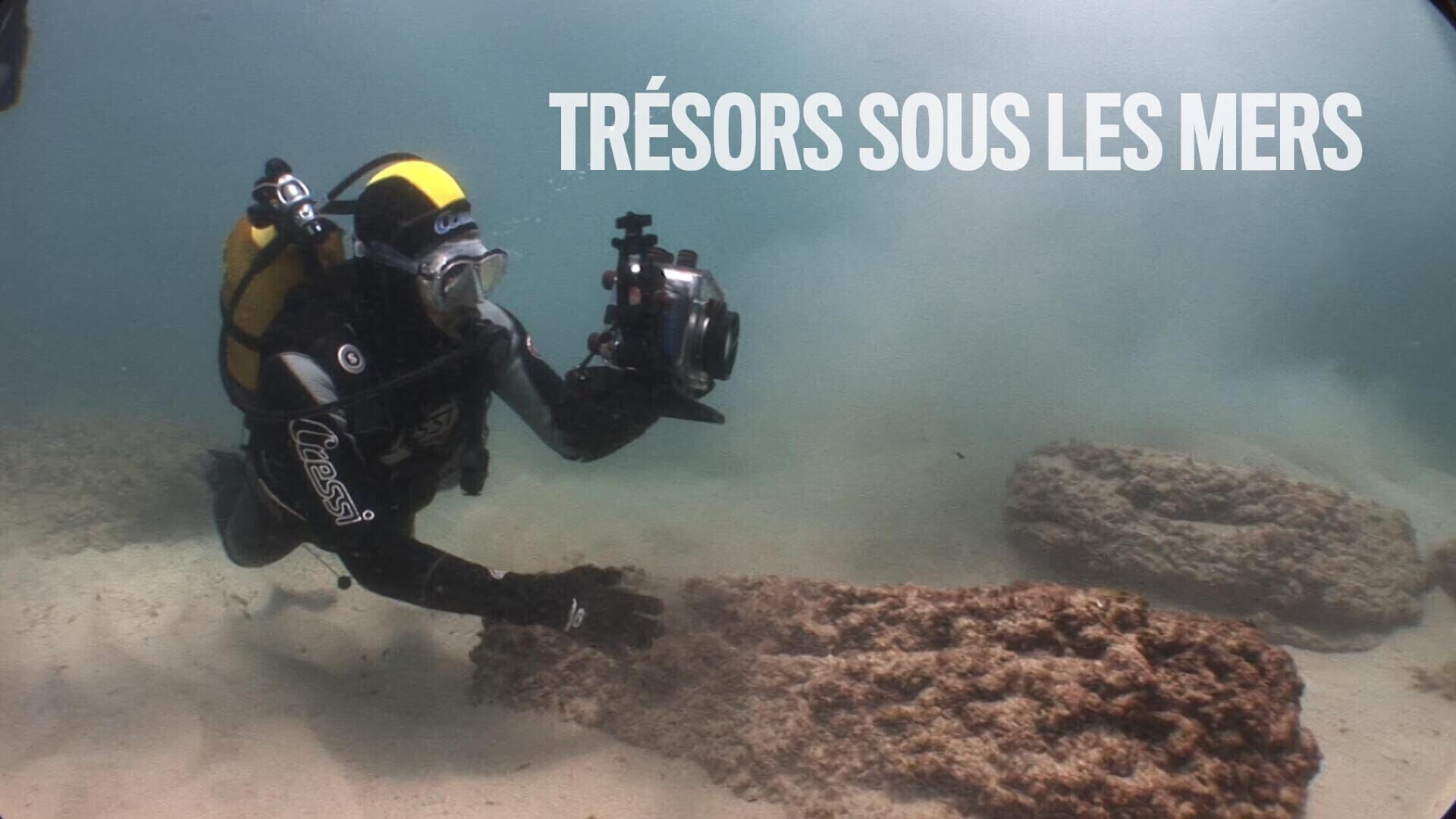 Vignette du programme télé Trésors sous les mers