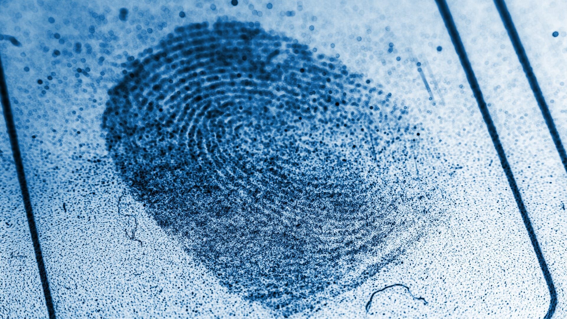 Vignette du programme télé Des crimes presque parfaits