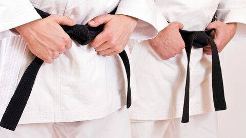 Vignette du programme télé Karate: Premier League