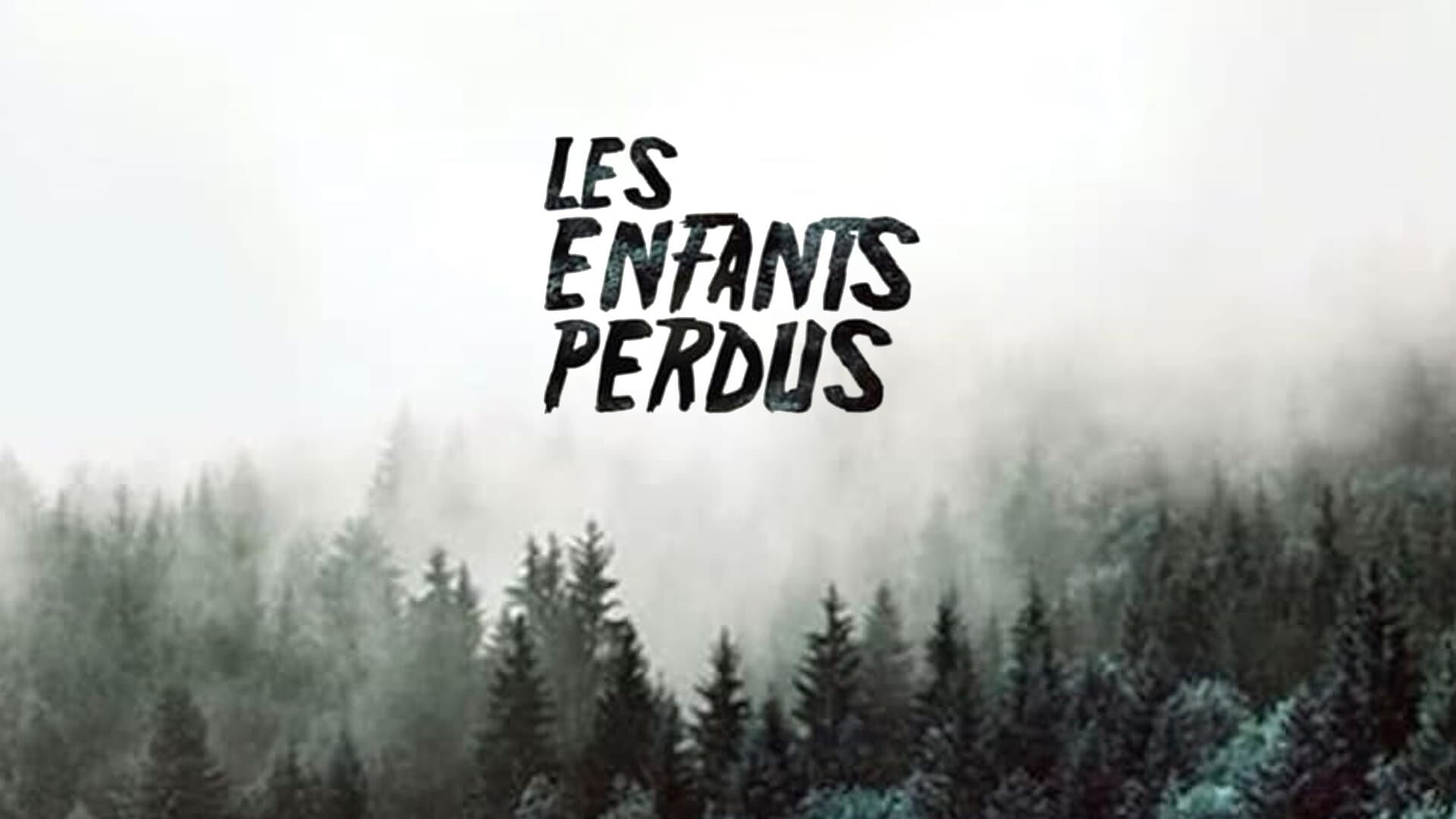Vignette du programme télé Les enfants perdus