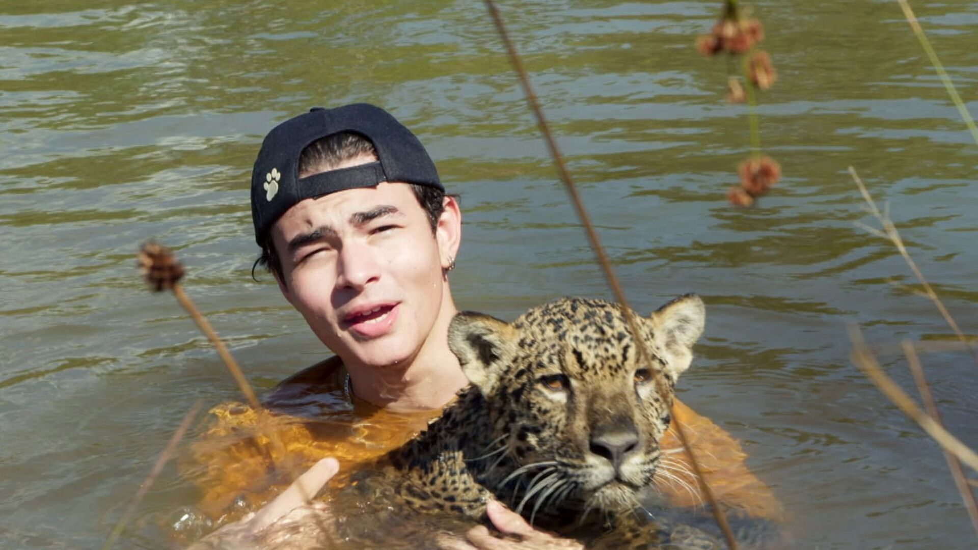 Vignette du programme télé Brésil, sur la piste des jaguars