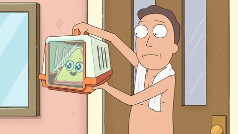 Vignette du programme télé Rick et Morty