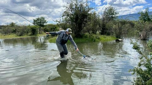 Vignette du programme télé ¡Aragón!