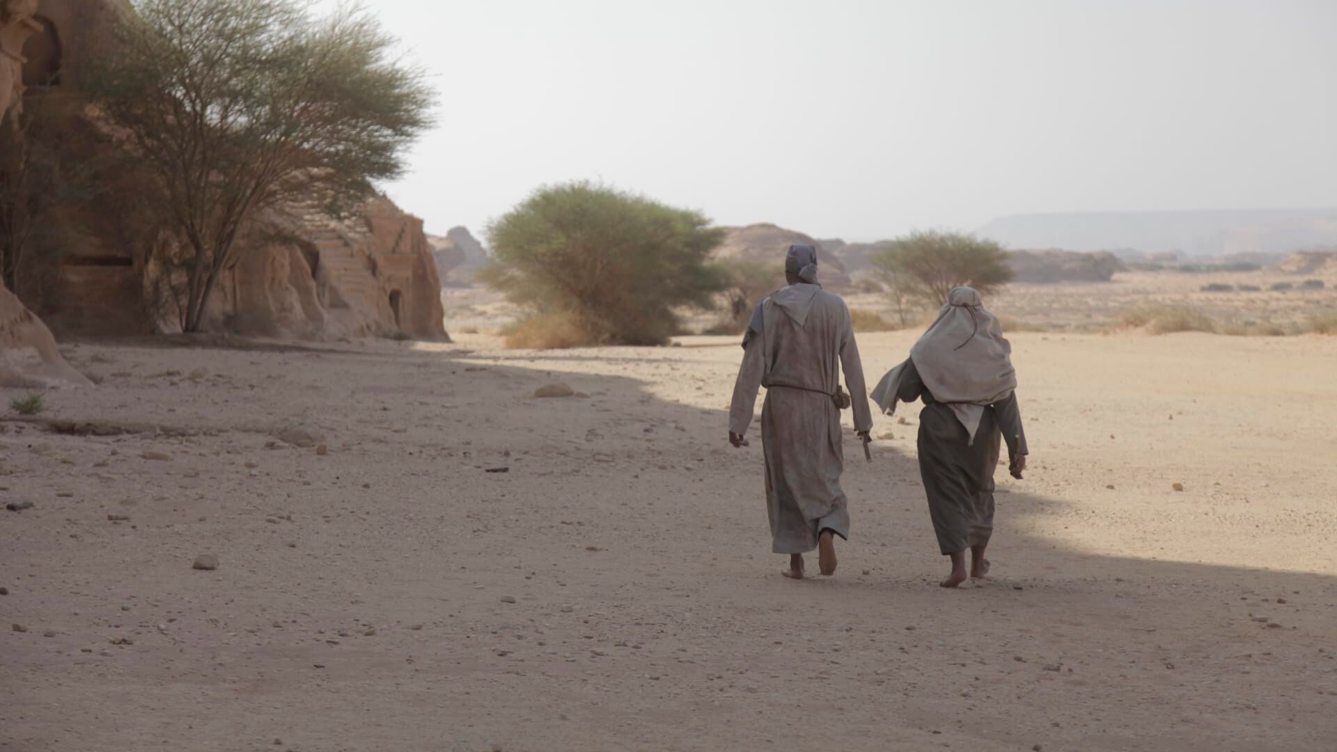 Vignette du programme télé Les trésors cachés d'Arabie Saoudite