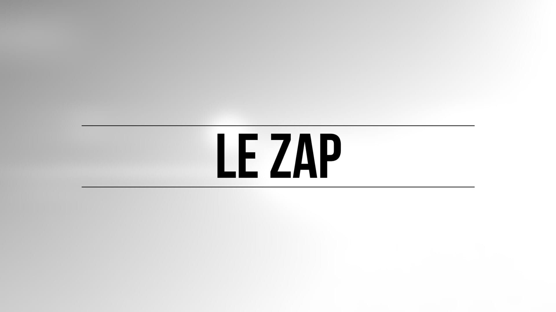Vignette du programme télé Le zap