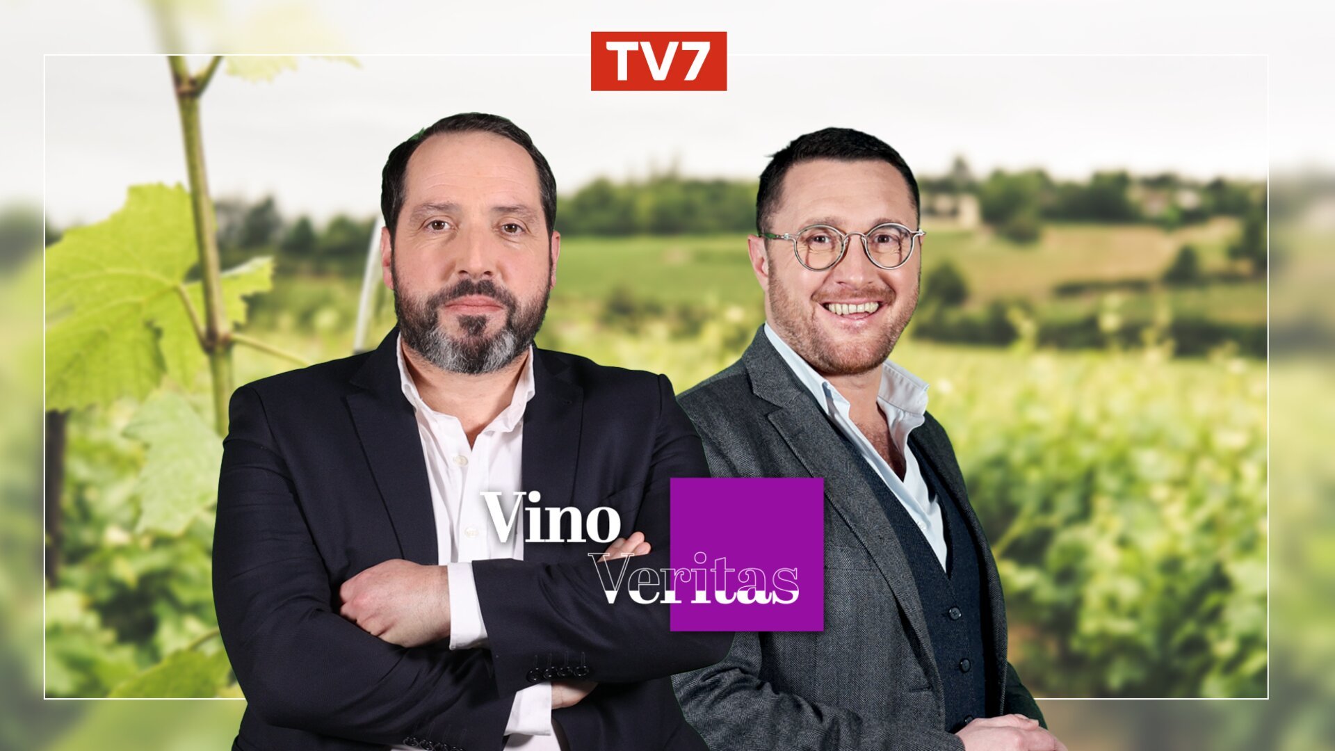 Vignette du programme télé Vino Veritas