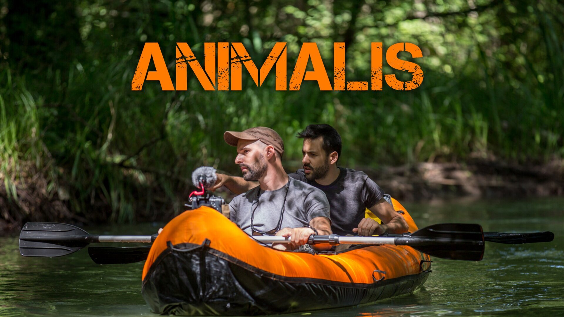 Vignette du programme télé Animalis