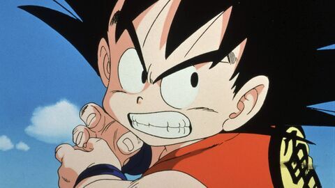 Vignette du programme télé Dragon Ball
