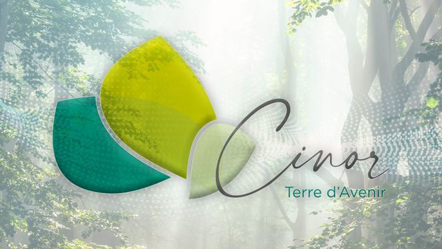 Vignette du programme télé Cinor