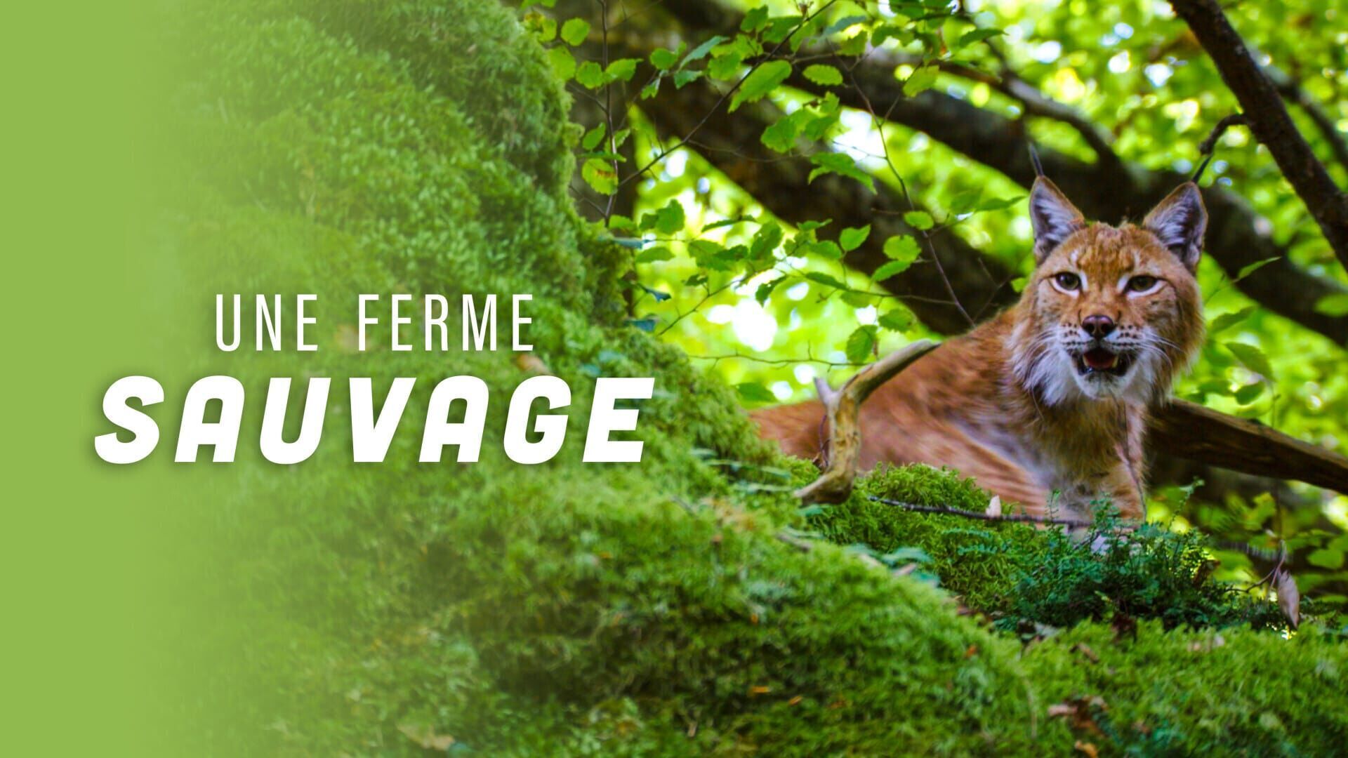 Vignette du programme télé Une ferme sauvage