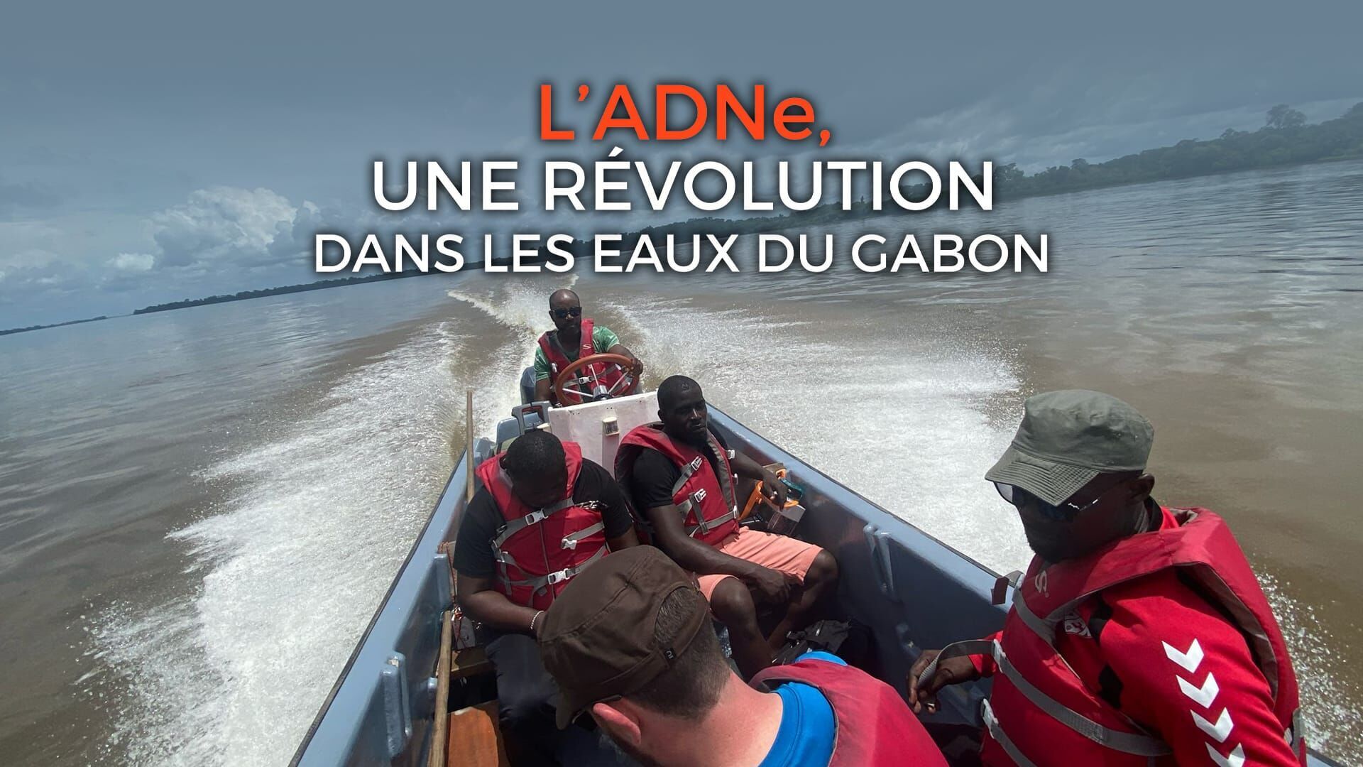 Vignette du programme télé L'ADNe, une révolution dans les eaux du Gabon