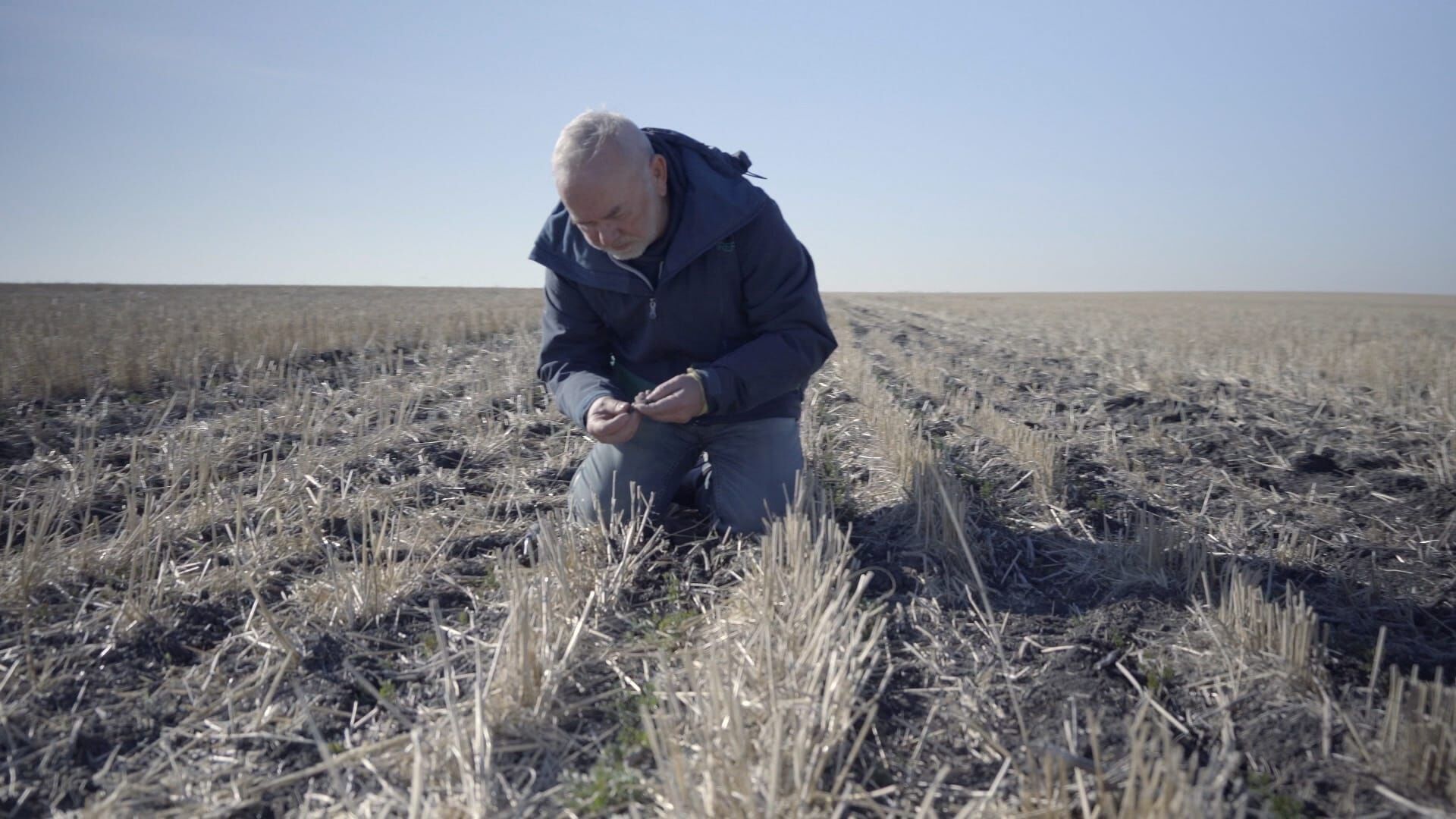 Vignette du programme télé 2050 : faudra-t-il vraiment se passer de viande ?