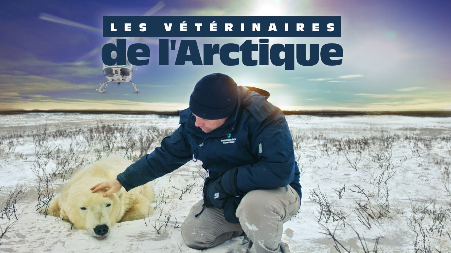Vignette du programme télé Vétérinaires de l'Arctique