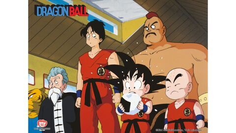 Vignette du programme télé Dragon Ball