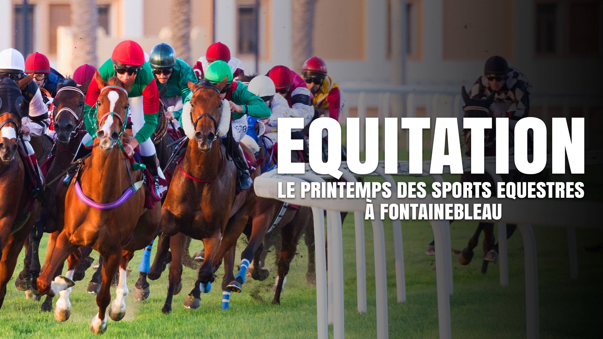 Vignette du programme télé Equitation : Le Printemps des Sports Equestres à Fontainebleau