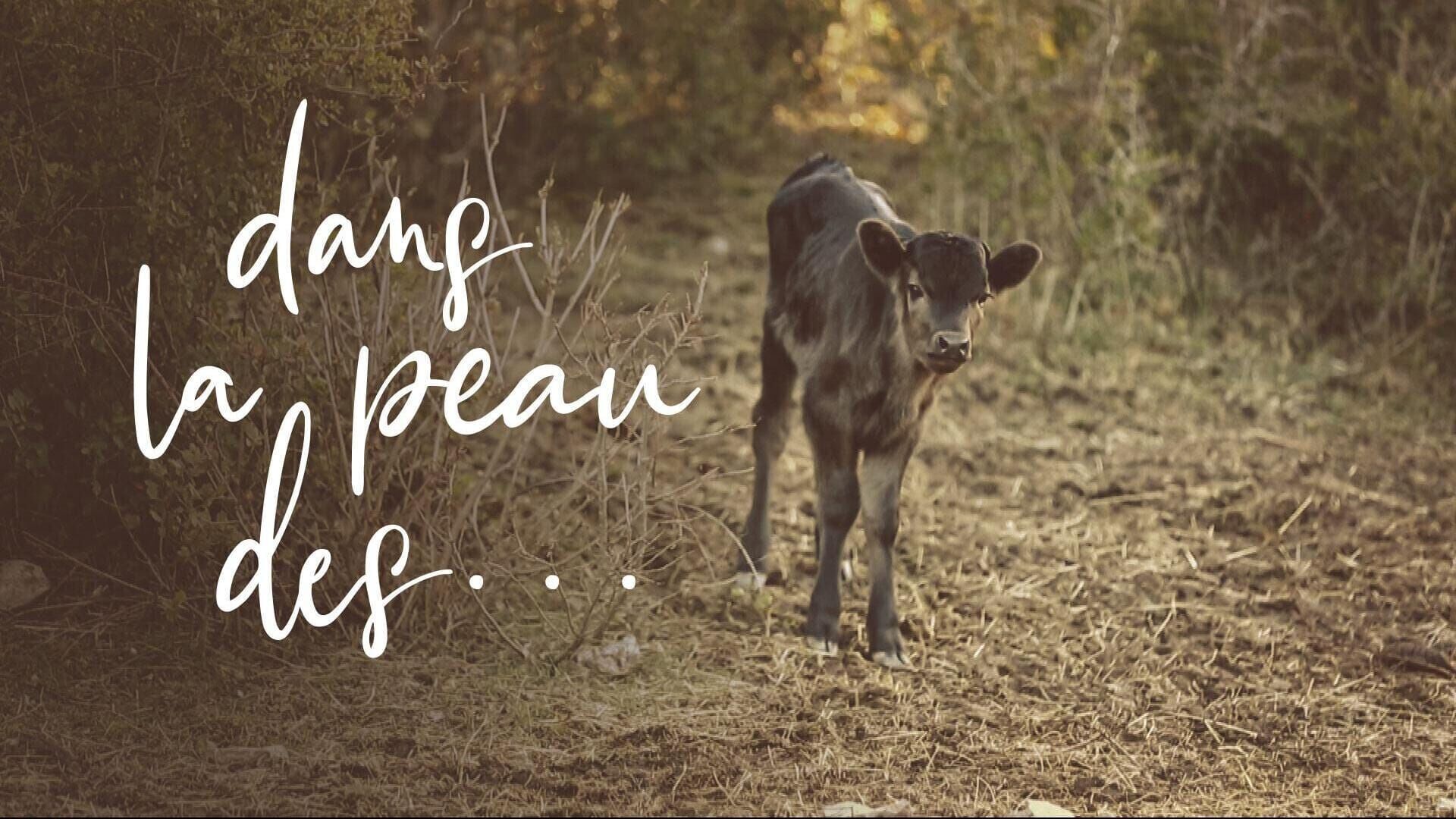 Vignette du programme télé Dans la peau des...