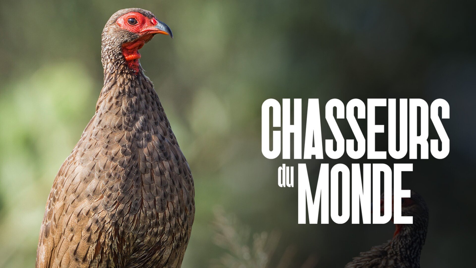 Vignette du programme télé Chasseurs du monde