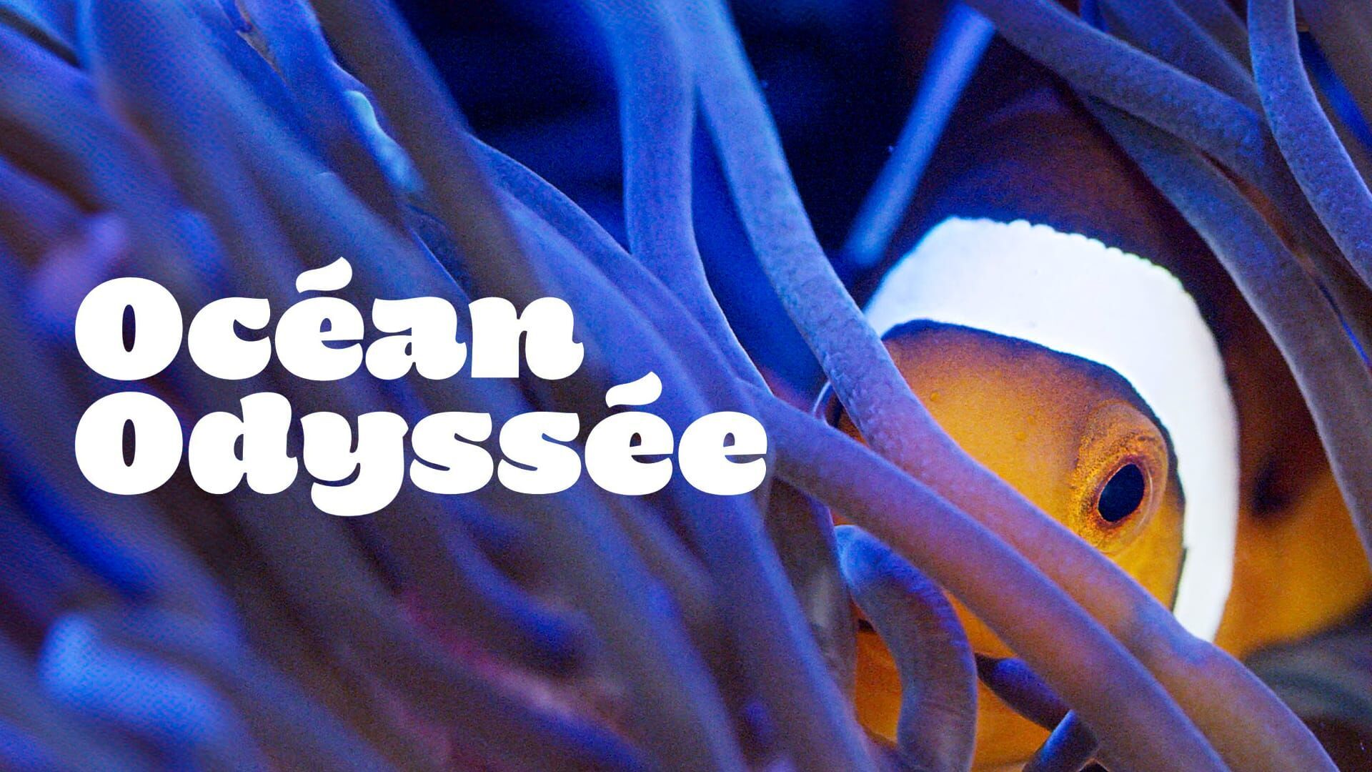 Vignette du programme télé Océan Odyssée