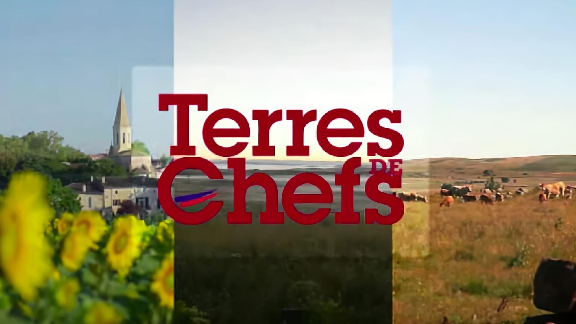 Vignette du programme télé Terres de Chefs