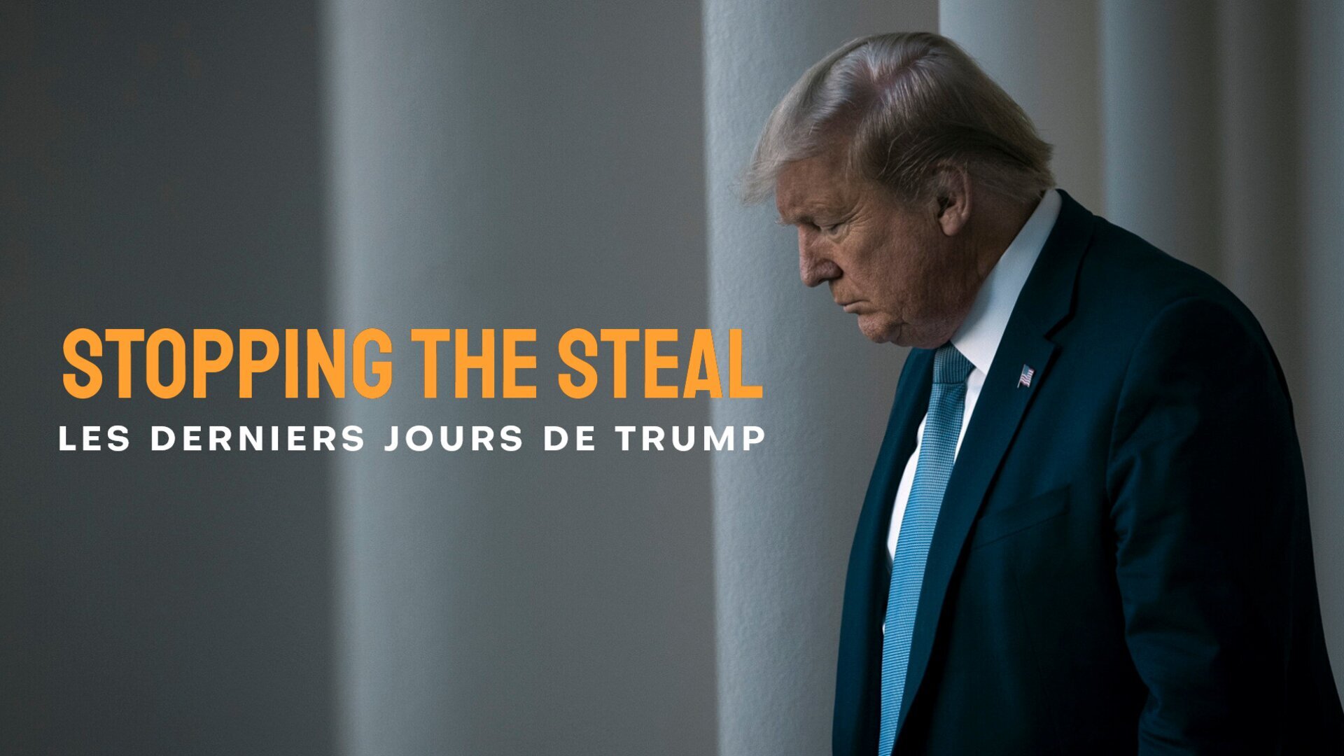 Vignette du programme télé Stopping the Steal : Les derniers jours de Trump