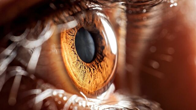 Vignette du programme télé Avec les yeux de Morgane