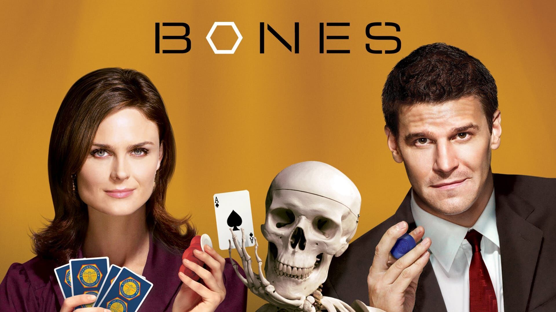 Vignette du programme télé Bones