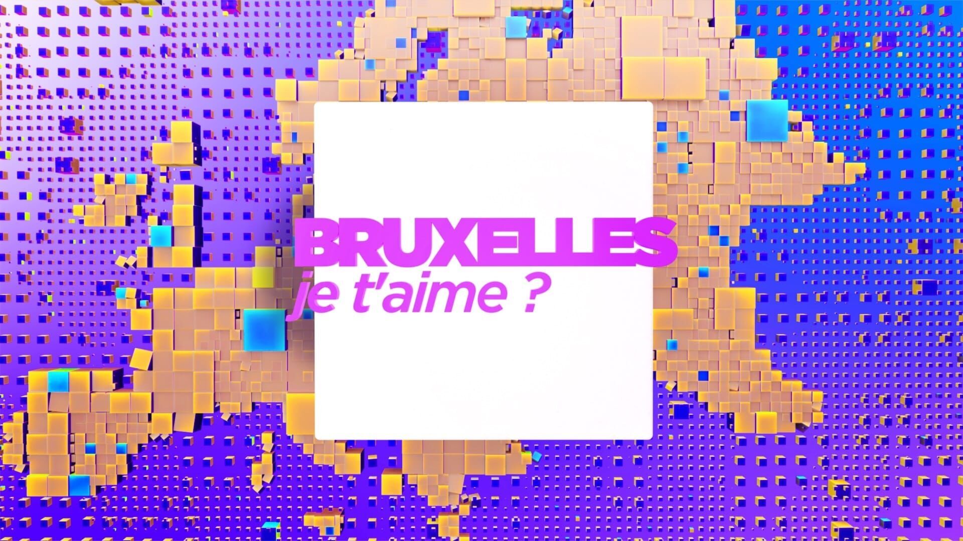 Vignette du programme télé Brussels, My Love ?