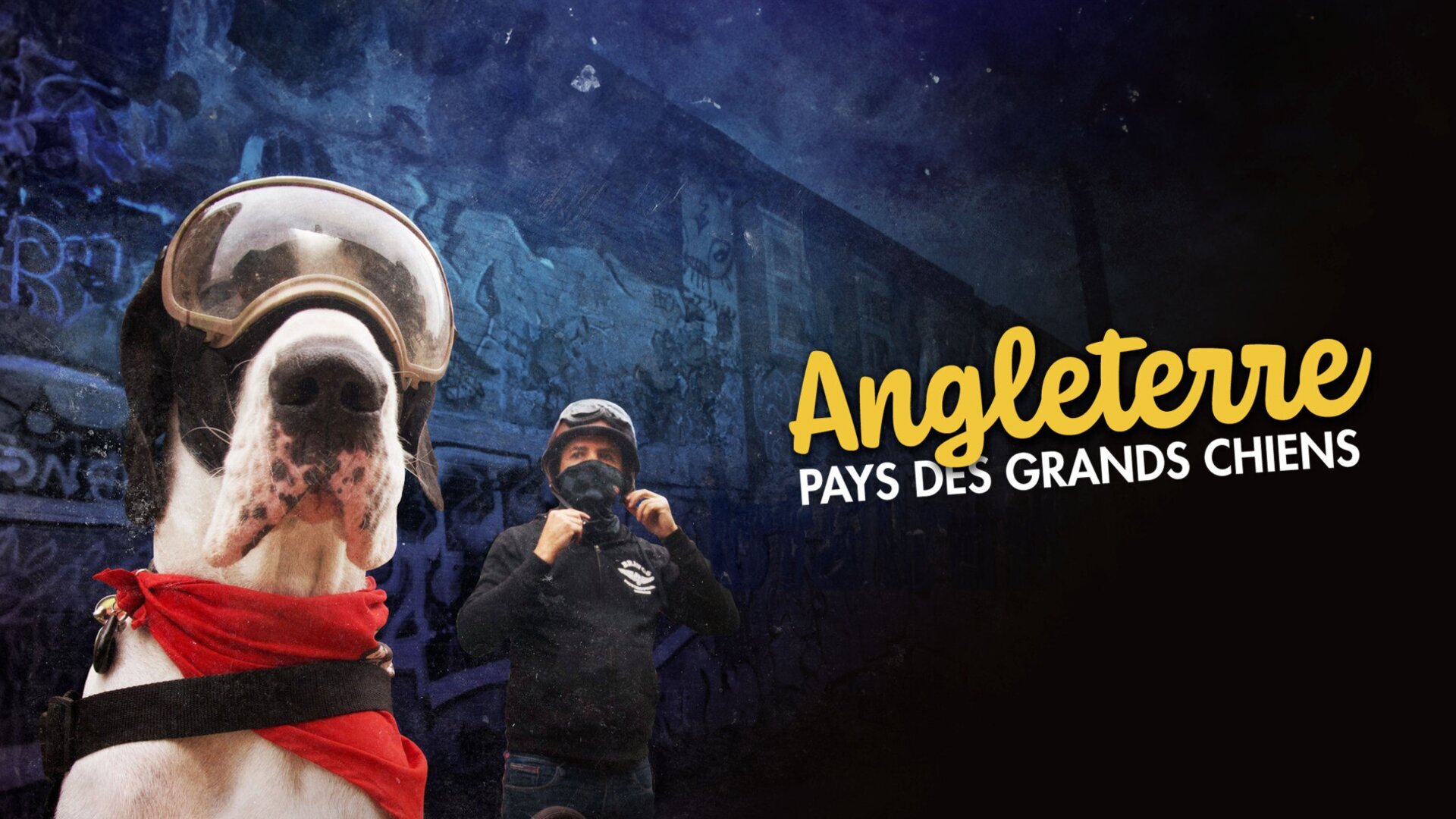 Vignette du programme télé Angleterre, pays des grands chiens