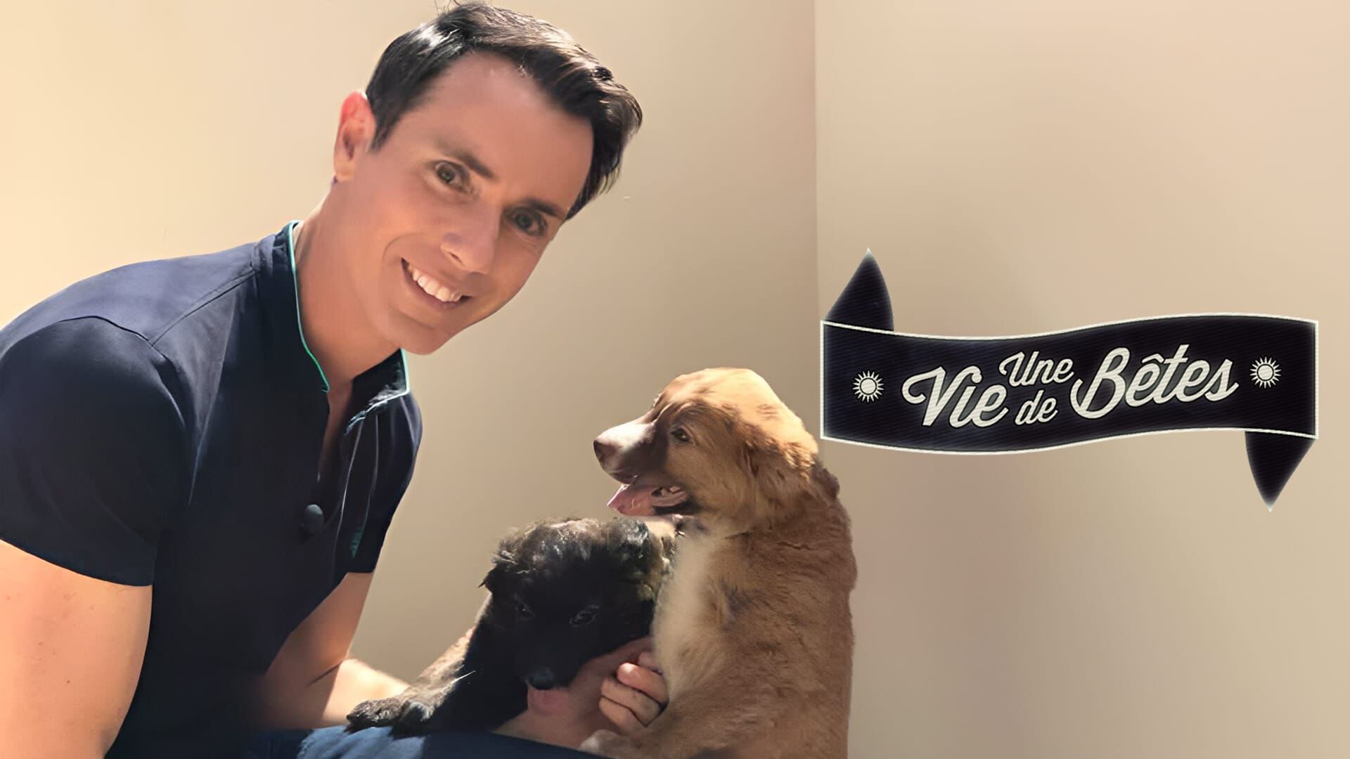 Vignette du programme télé Une vie de bêtes