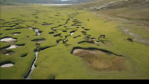 Vignette du programme télé Les plus beaux treks (Le GR20 en Corse) S1 (4/6)