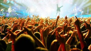 Vignette du programme télé Jungle By Night