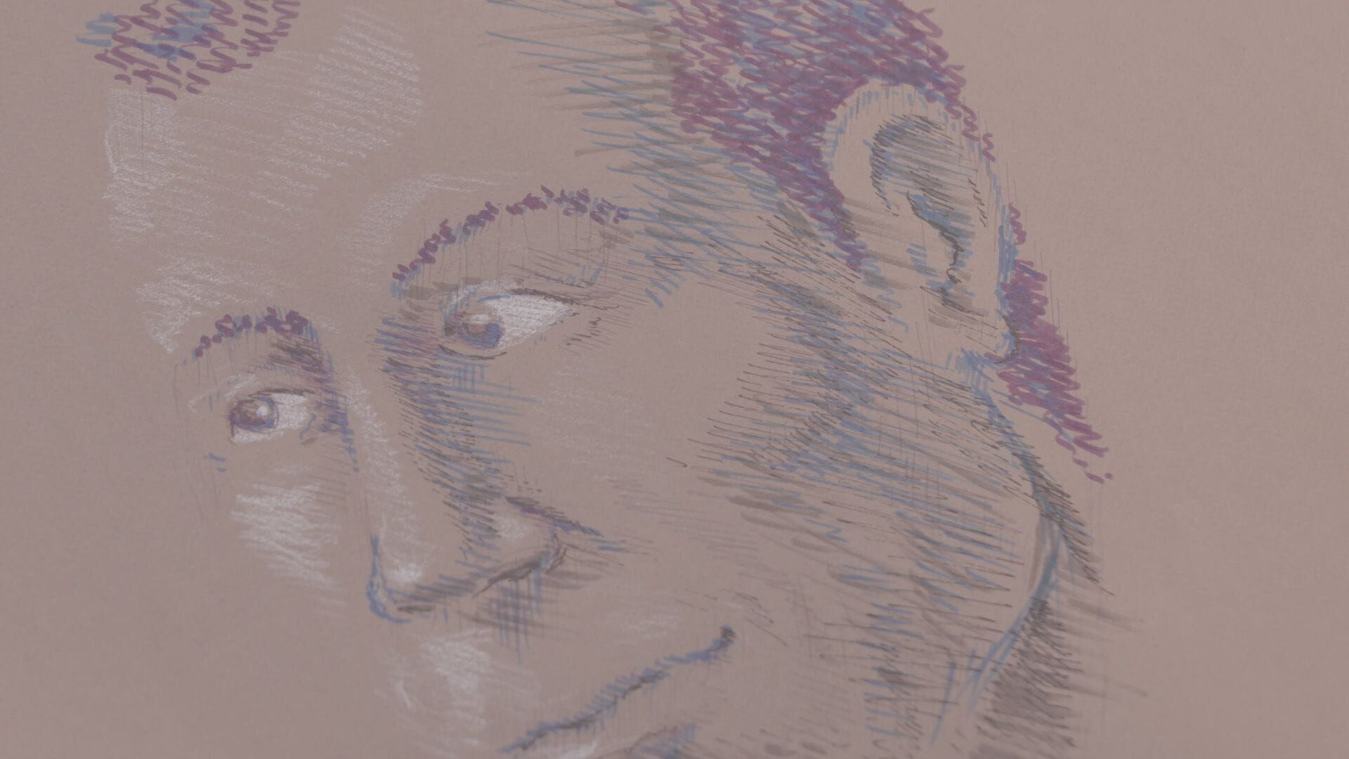 Vignette du programme télé Sketchbook