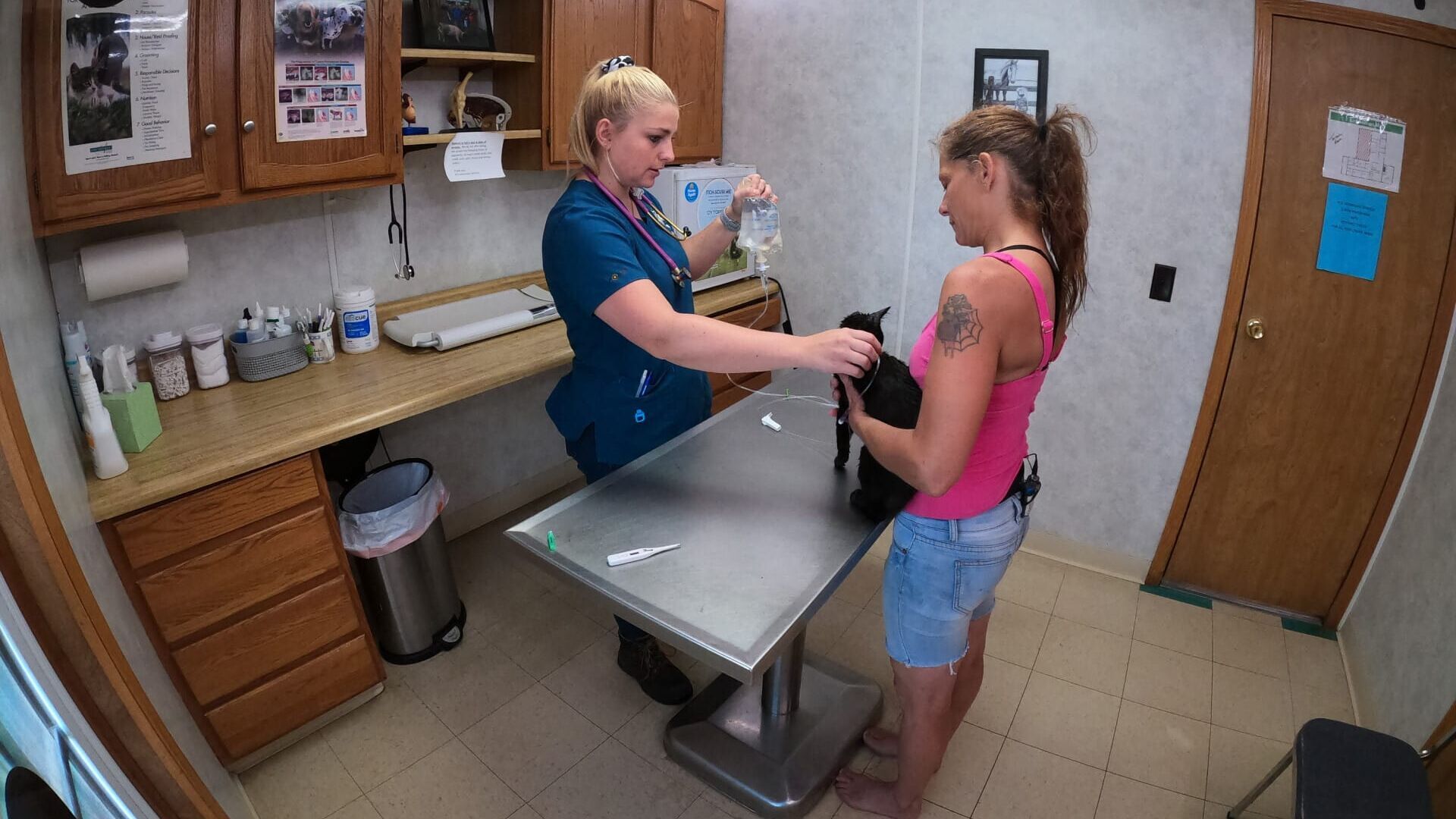 Vignette du programme télé L'incroyable Dr Pol