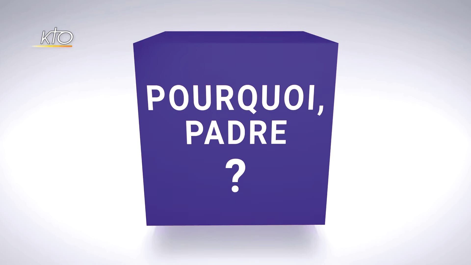 Vignette du programme télé Pourquoi, Padre ?