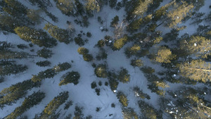 Vignette du programme télé Destination Wild Scandinavie (Créatures de la taïga) S1 (n°5)