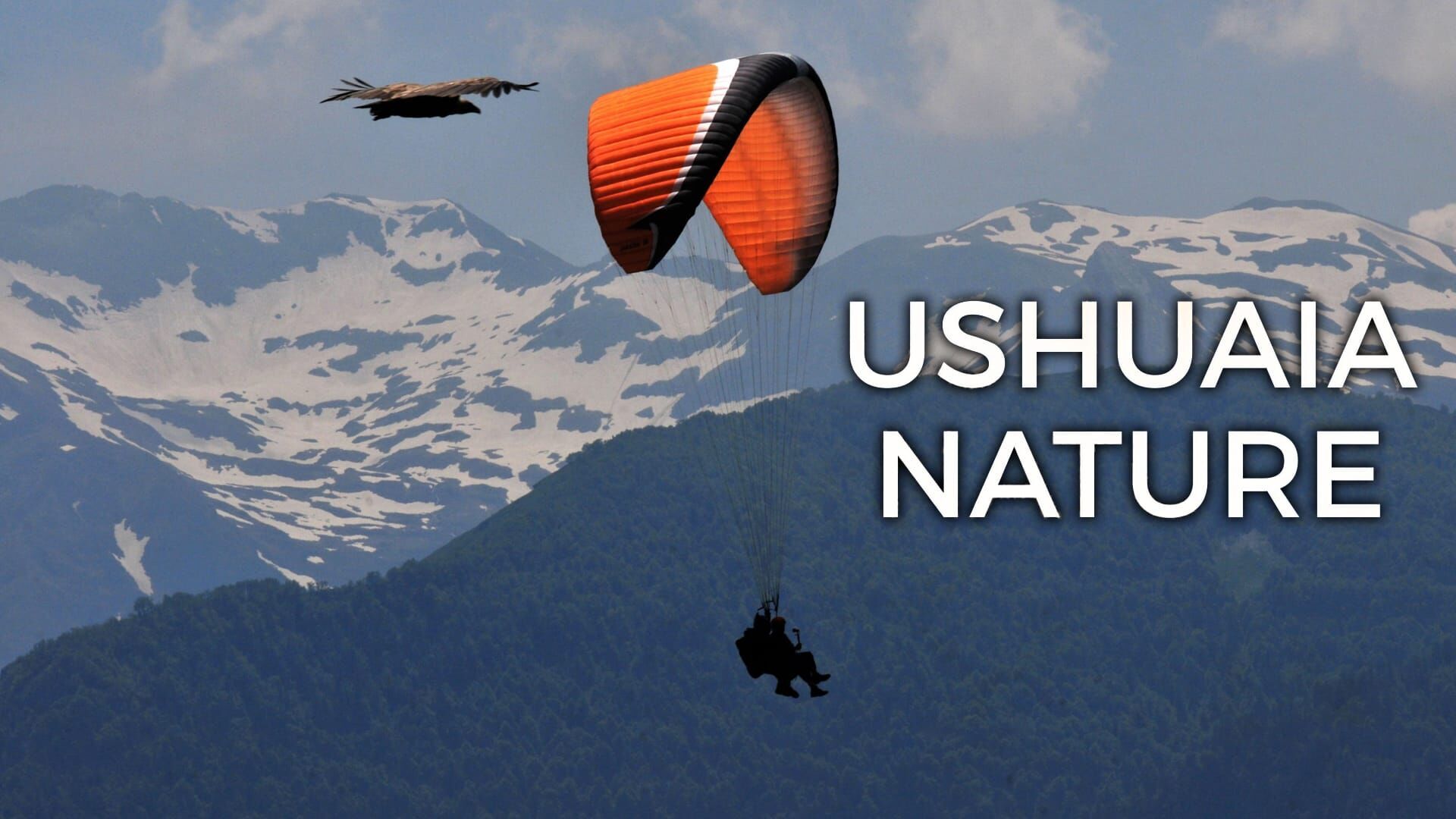 Vignette du programme télé Ushuaïa Nature