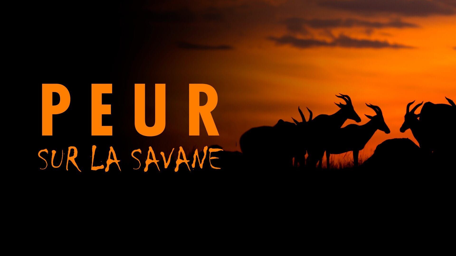Vignette du programme télé Peur sur la savane