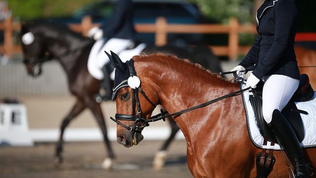 Vignette du programme télé CSI 5*