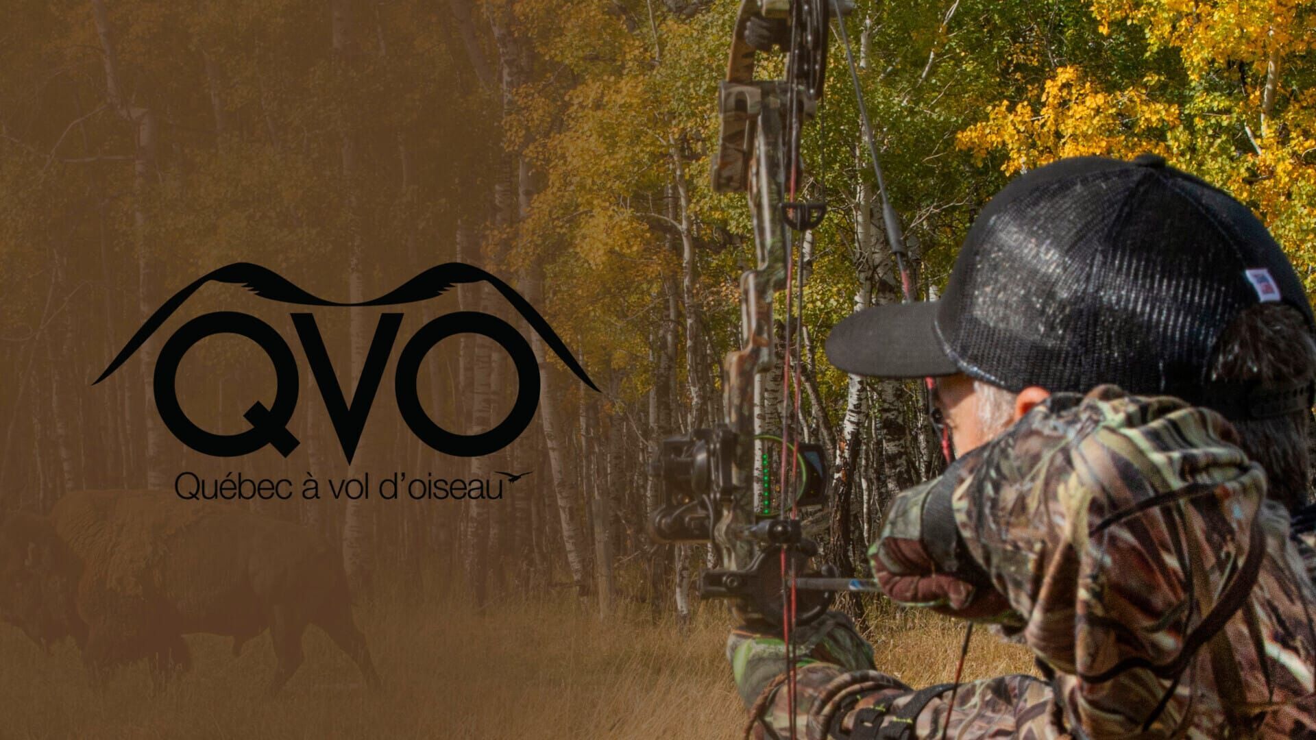 Vignette du programme télé Québec à vol d'oiseau